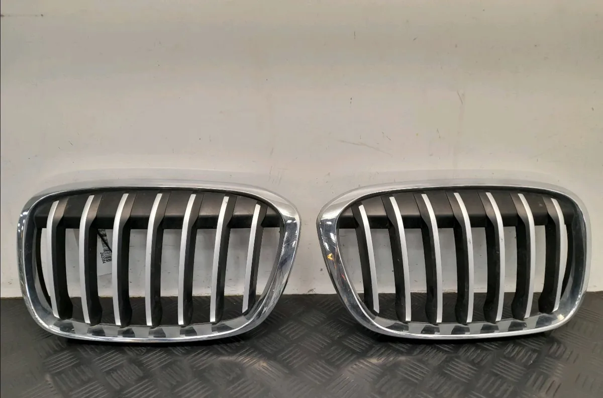 Calandre Bmw X1 (F48) Xdrive 20 d (2015) occasion