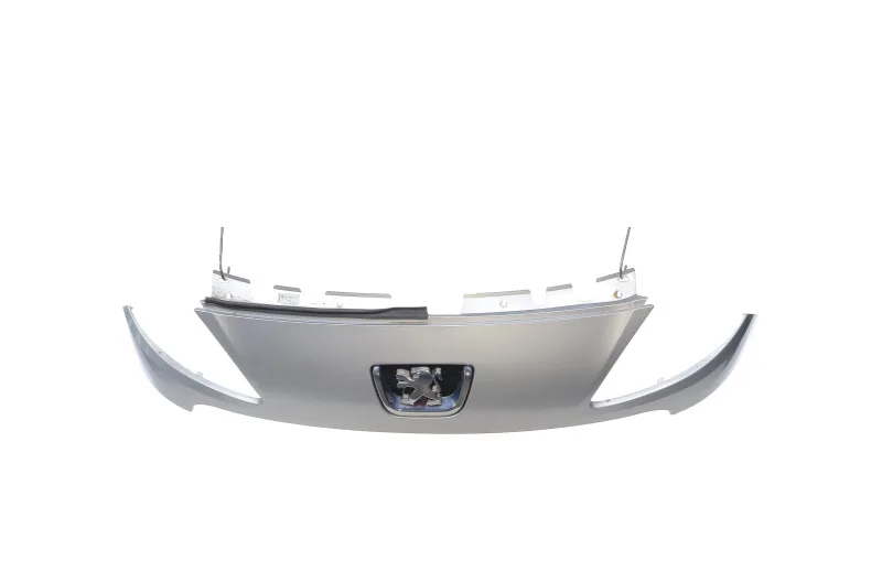 Calandre pour PEUGEOT 1007