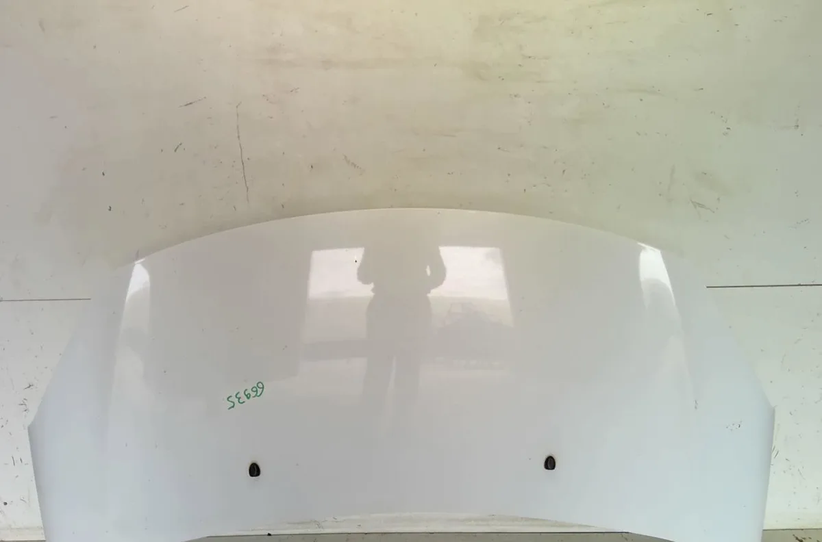 Capot Citroen C3 II (SC_) 1.6 hdi (2009-2016) 5 portes occasion