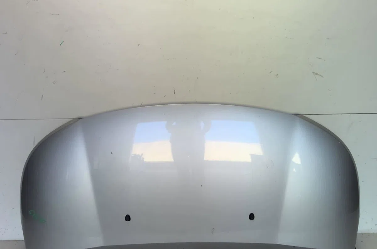 Capot Citroen C3 PICASSO (SH_) 1.6 hdi (2009) occasion