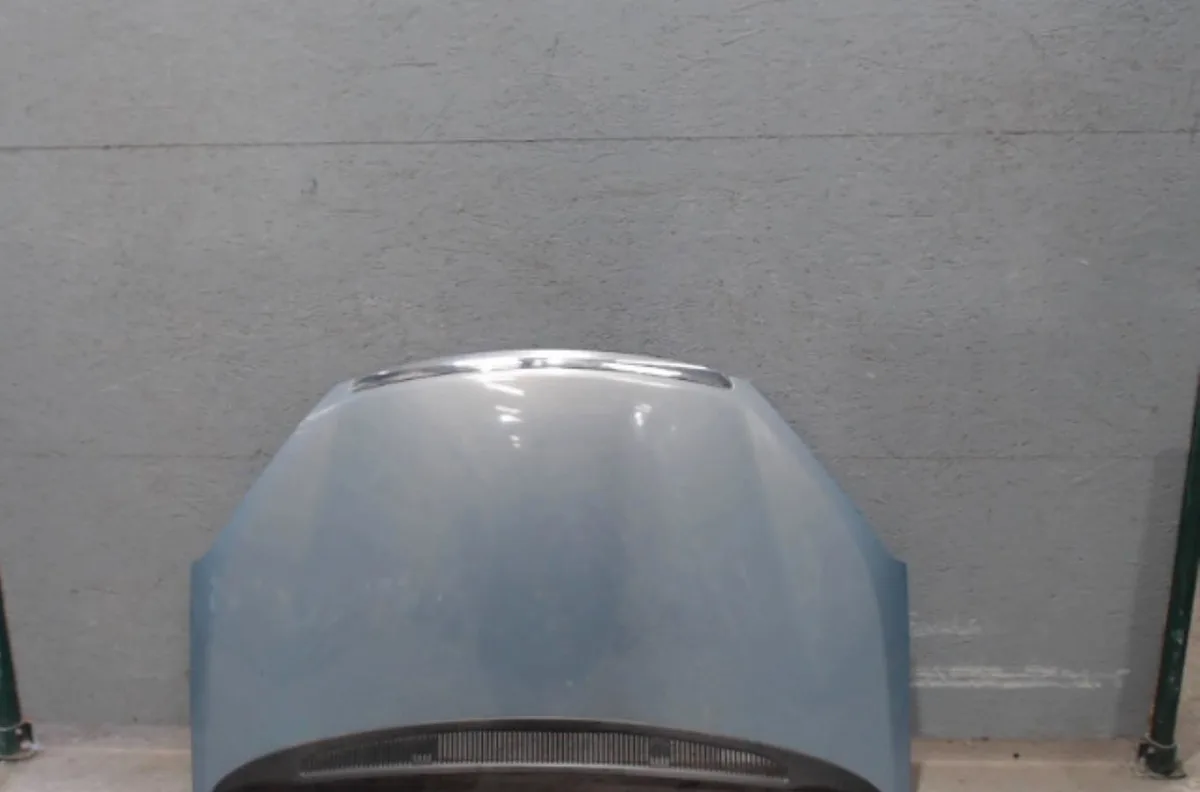 Capot FORD C-MAX 1 C-MAX 1 PHASE 2 occasion