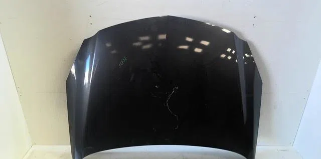 Capot Opel INSIGNIA A (G09) 2.0 cdti (68) (2008-2017) occasion