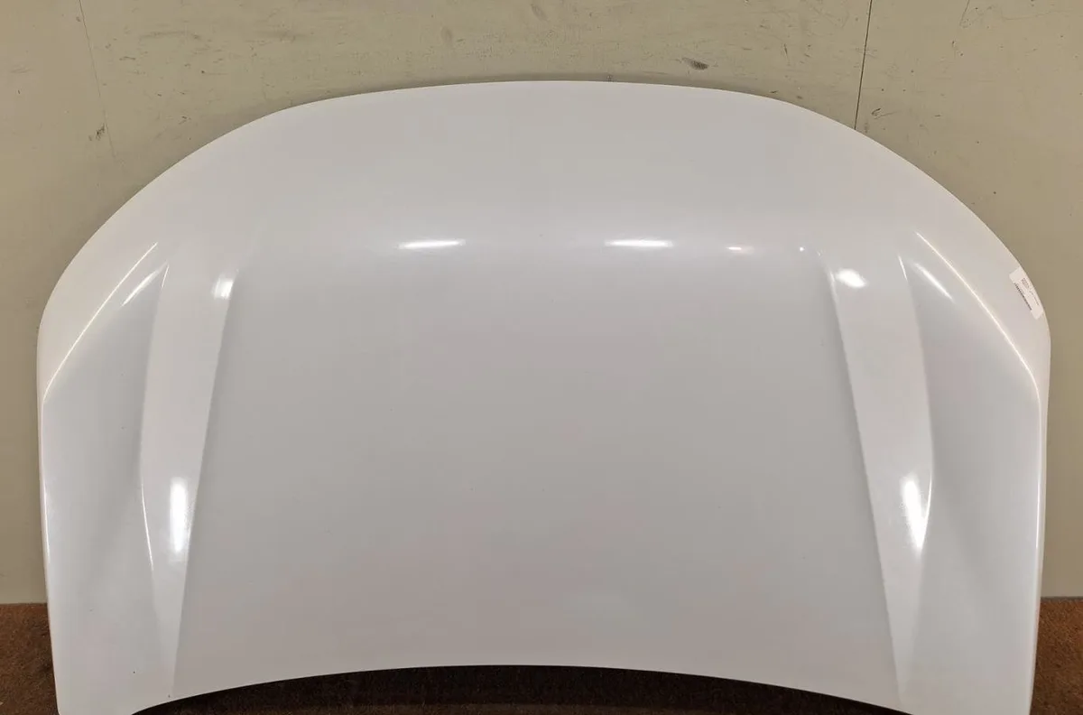 Capot RENAULT SCENIC 5  SCENIC 5 occasion