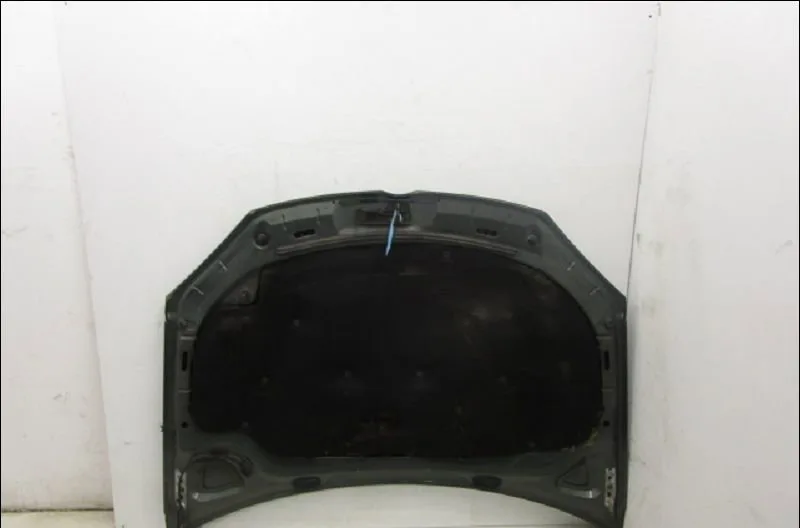 Capot Volkswagen GOLF V (1K1) 1.9 tdi (2003-2008) occasion