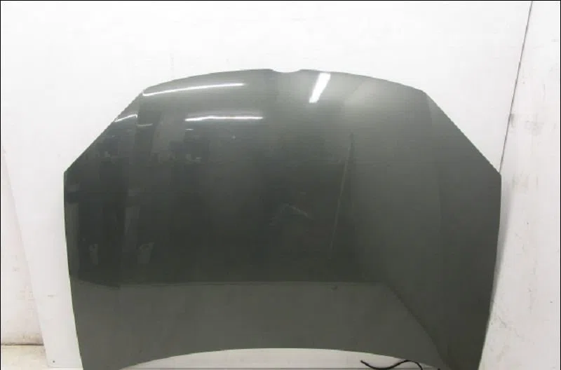 Capot Volkswagen GOLF V (1K1) 1.9 tdi (2003-2008) occasion — photo 2