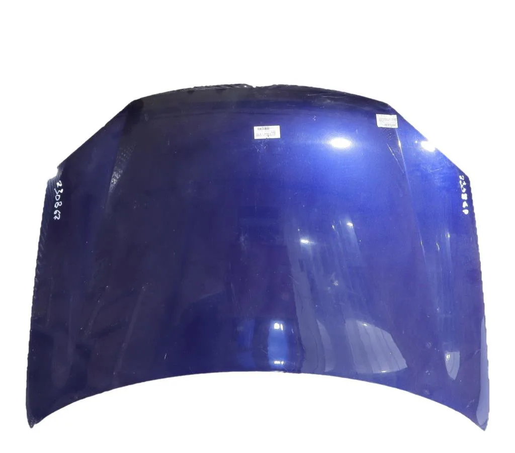 Capot Volkswagen GOLF V Variant (1K5) 1.9 tdi (2007-2009) occasion
