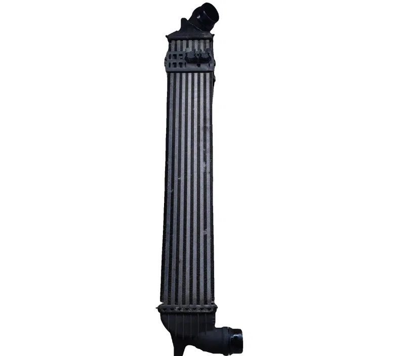 ECHANGEUR AIR-AIR RENAULT LAGUNA III 144610001N