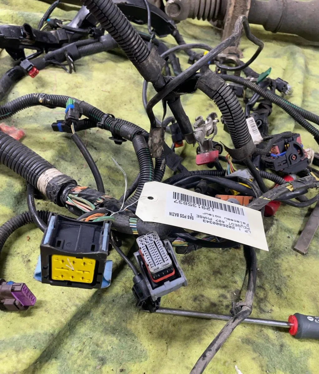 Faisceau moteur PEUGEOT 407 PHASE 1 occasion