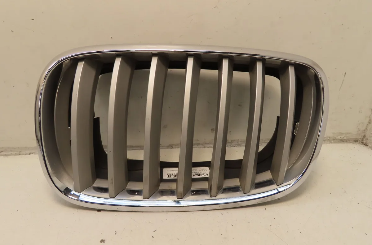 Grille calandre g Bmw X6 (E71, E72) Xdrive 35 d (2008-2010) occasion