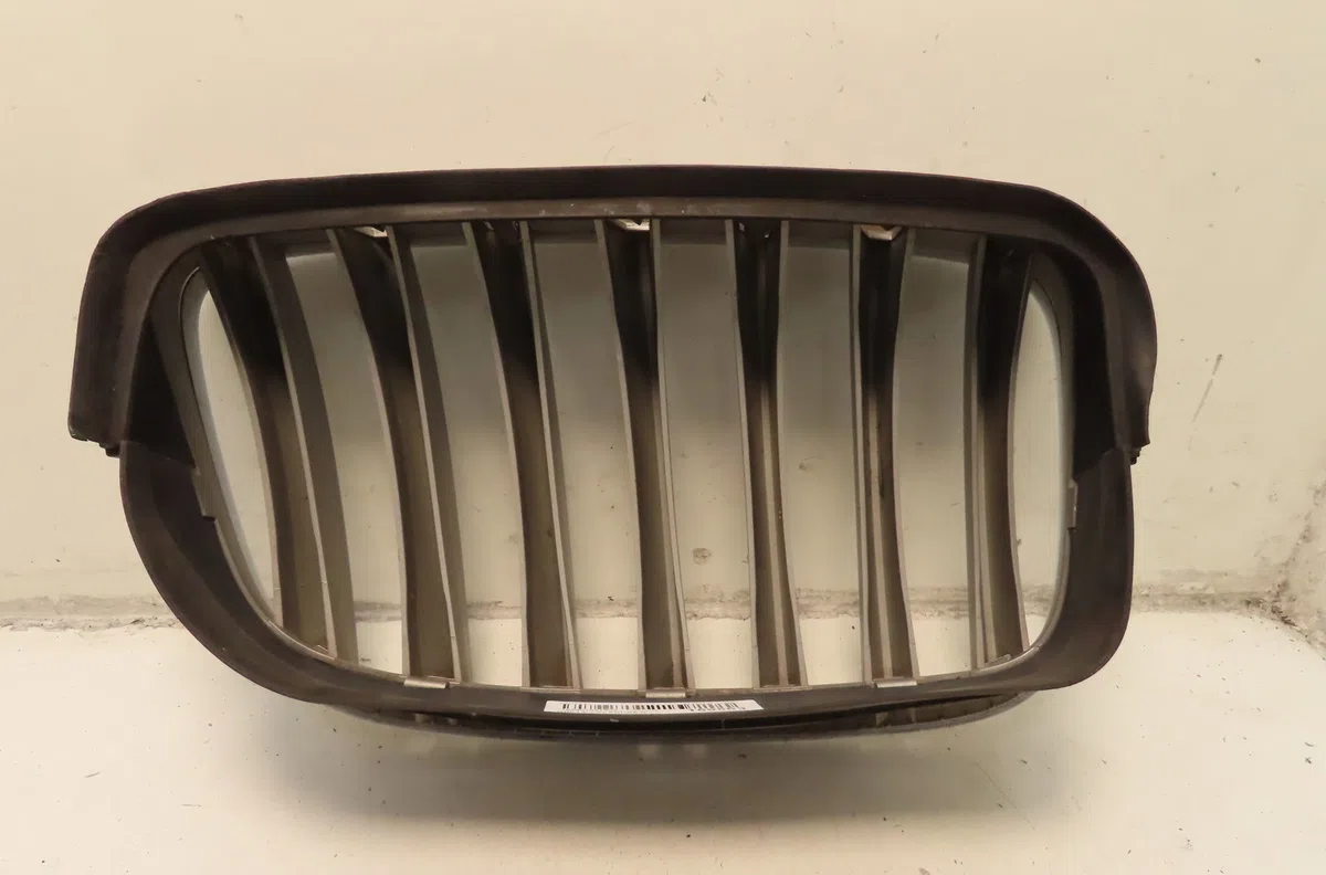 Grille calandre g Bmw X6 (E71, E72) Xdrive 35 d (2008-2010) occasion
