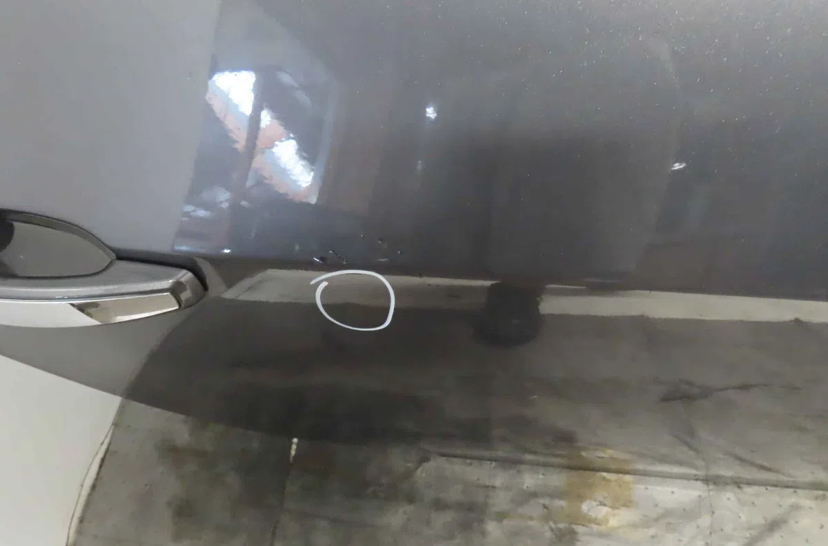 Porte arrière droite OPEL INSIGNIA occasion