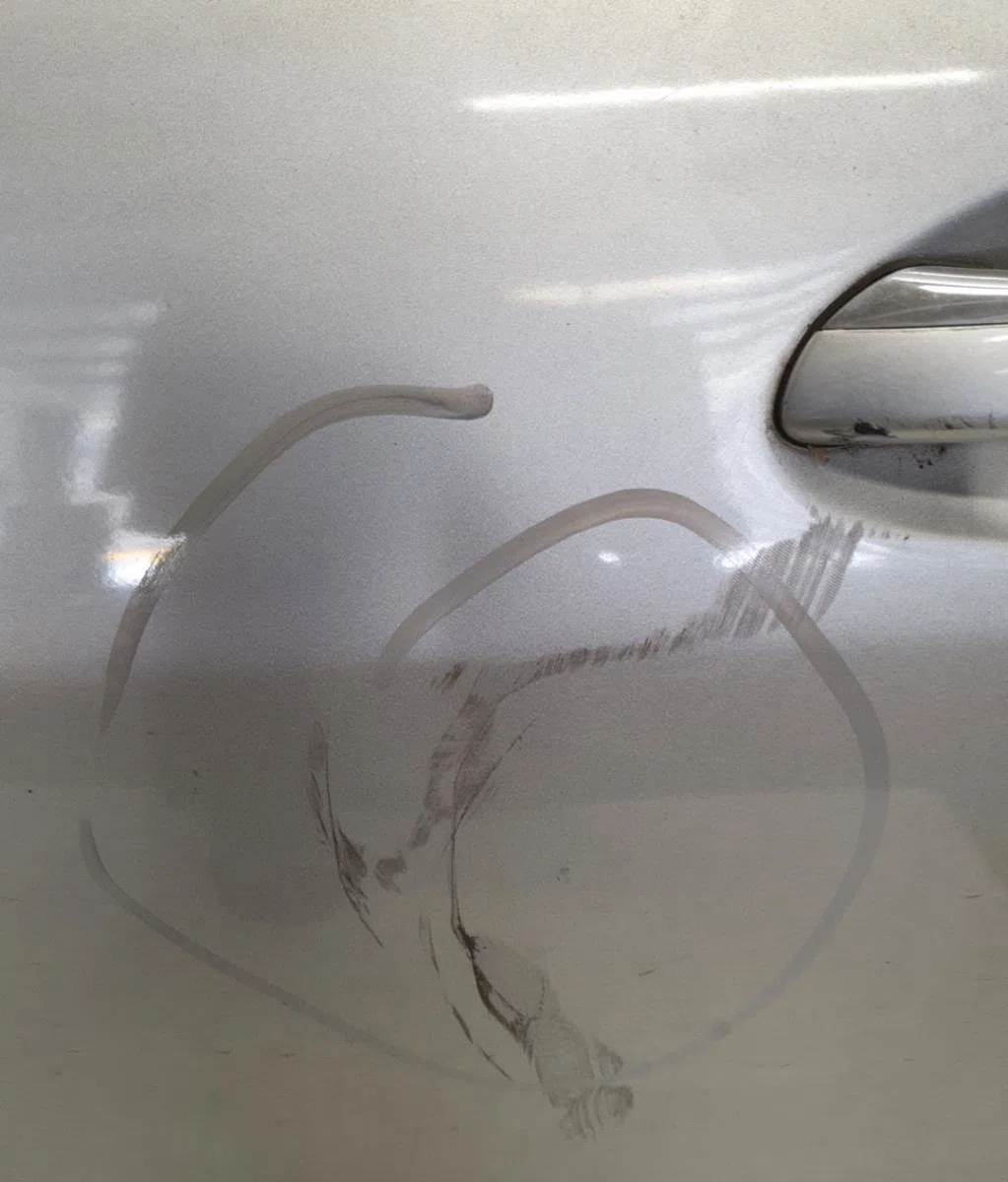 Porte avant gauche MERCEDES CLASSE S 220 occasion