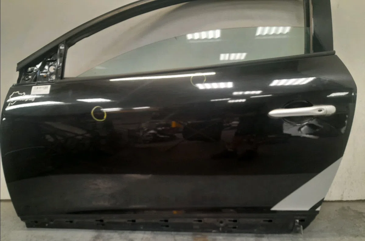 Porte avant gauche RENAULT MEGANE III occasion