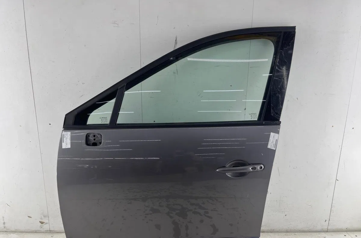 Porte avant gauche RENAULT SCENIC 3 PHASE 3 occasion