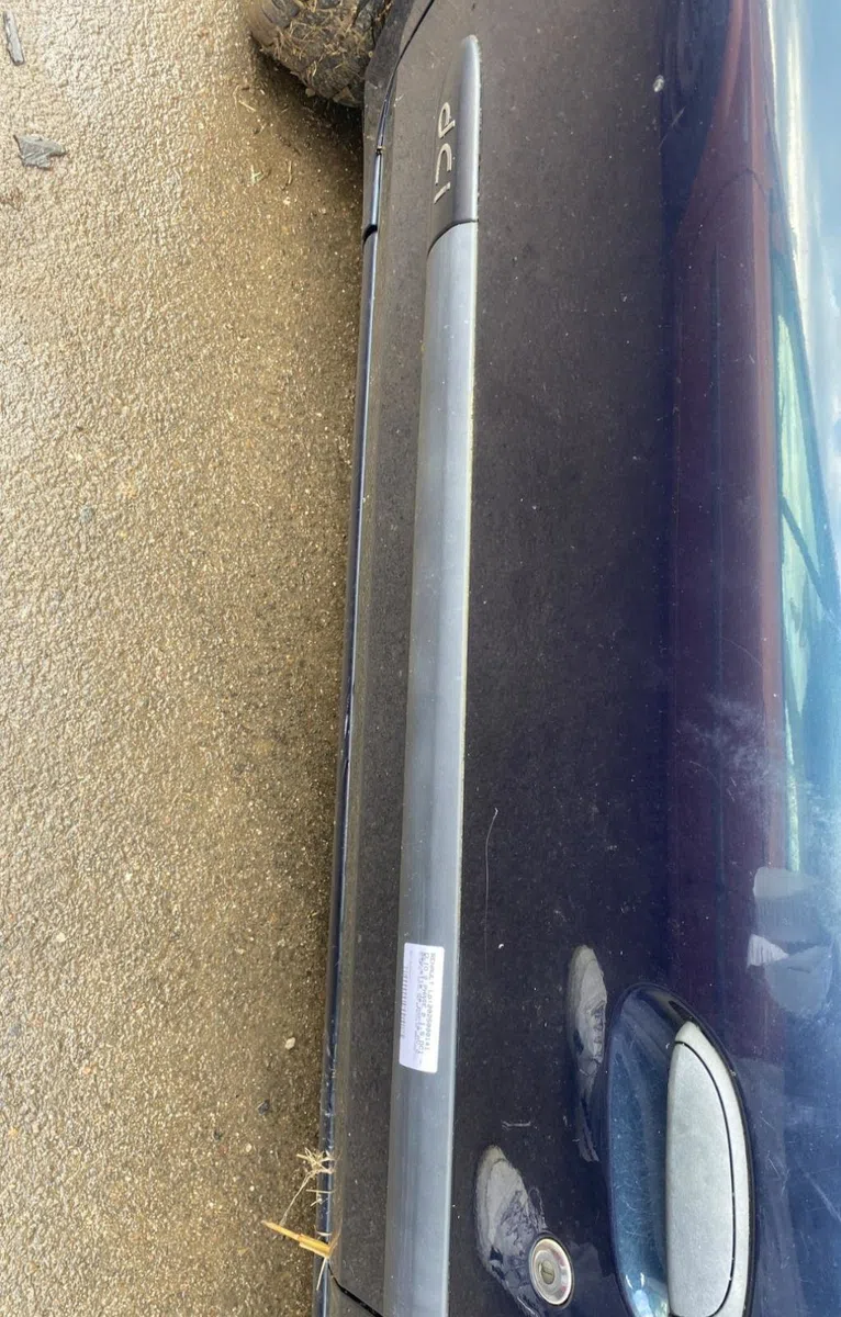 Protection porte avg RENAULT CLIO 2 PHASE 2 occasion