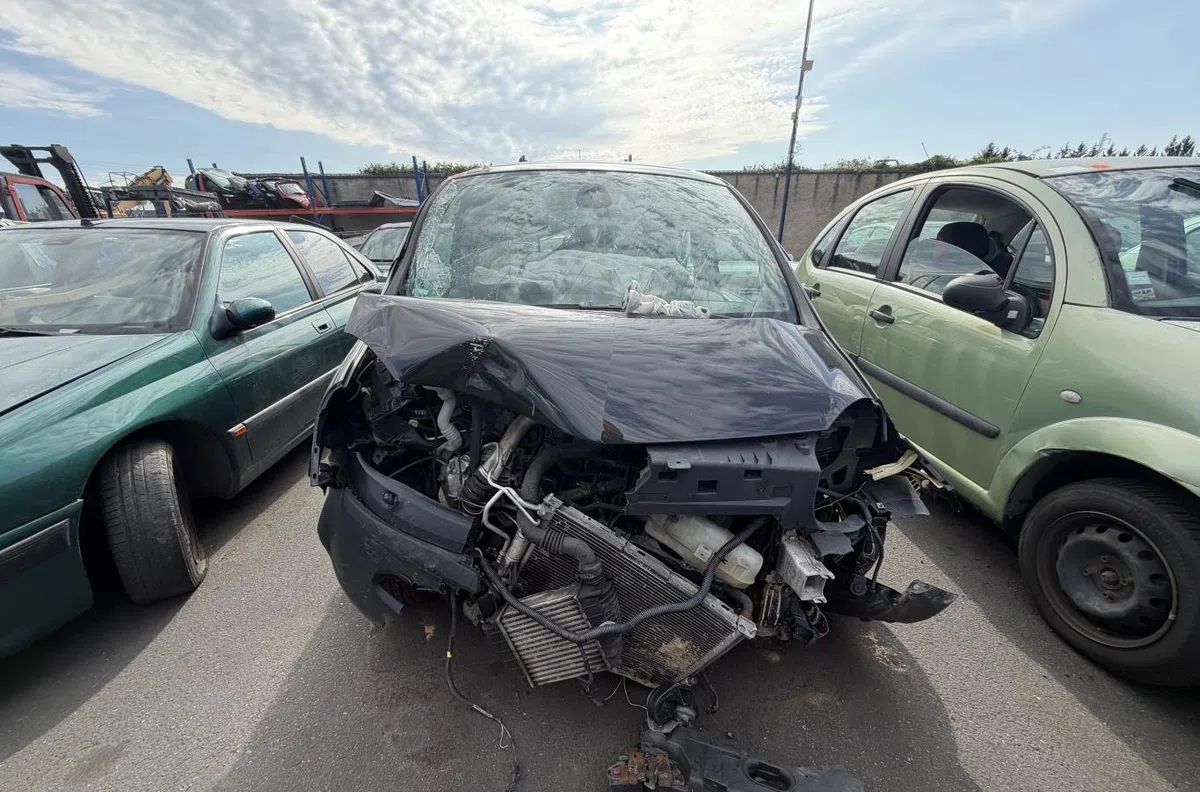 Serrure porte arg RENAULT MODUS PHASE 1 occasion