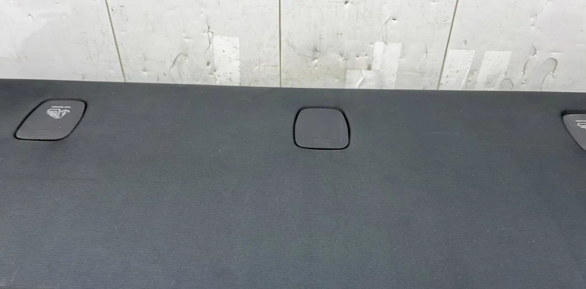Tablette plage arrière TESLA MODEL 3 5YJ3 occasion