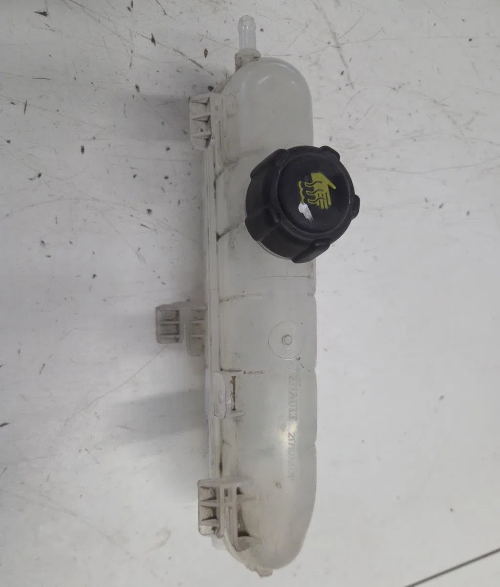 Vase expansion RENAULT ZOE 1 occasion
